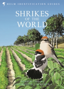 Shrikes of the World: BB/BTO BIRD BOOK OF THE YEAR 2023