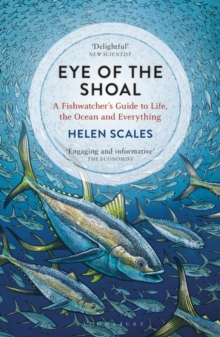 Image for Eye of the shoal: a fish-watcher's guide to life, the ocean and everything