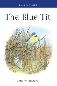 Image for The blue tit
