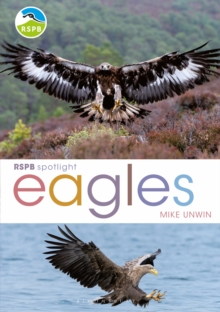 Image for RSPB Spotlight: Eagles