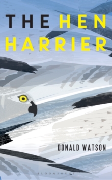 Image for The Hen Harrier