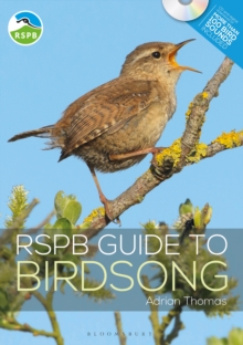 Image for RSPB guide to birdsong