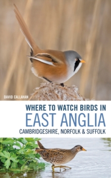 Image for Where to watch birds in East Anglia  : Cambridgeshire, Norfolk, Suffolk