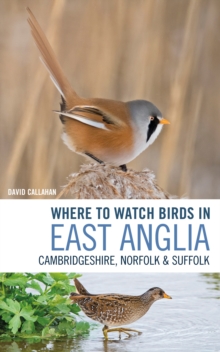 Image for Where to watch birds in East Anglia: Cambridgeshire, Norfolk, Suffolk