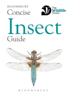 Image for Concise insect guide
