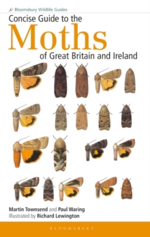 Image for Concise guide to the moths of Great Britain and Ireland