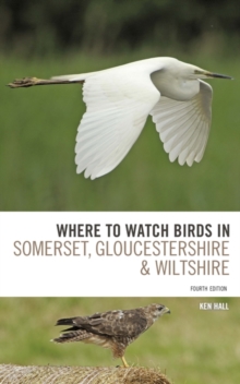 Image for Where to watch birds in Somerset, Gloucestershire and Wiltshire