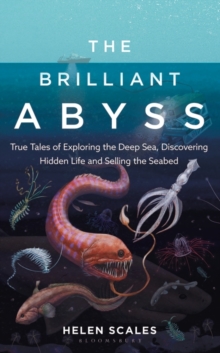 Image for The brilliant abyss  : True tales of exploring the deep sea, discovering hidden life and selling the seabed