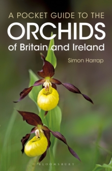 Image for Pocket Guide to the Orchids of Britain and Ireland