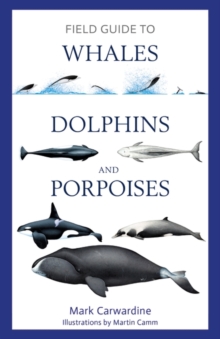 Image for Field Guide to Whales, Dolphins and Porpoises