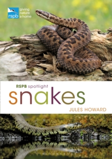 Image for RSPB Spotlight Snakes