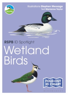 RSPB ID Spotlight – Wetland Birds