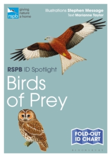 Image for RSPB ID Spotlight - Birds of Prey