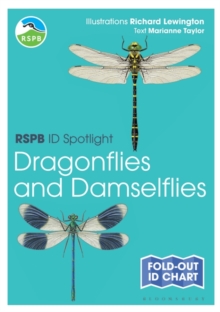 RSPB ID Spotlight – Dragonflies and Damselflies