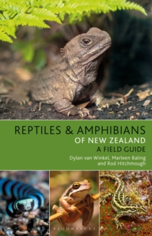 Image for Reptiles and amphibians of New Zealand
