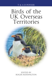 Image for Birds of the UK Overseas Territories