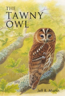 Image for The Tawny Owl