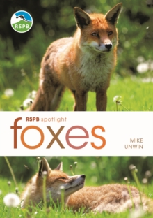 RSPB Spotlight: Foxes