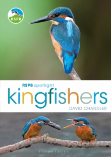 Image for Kingfishers