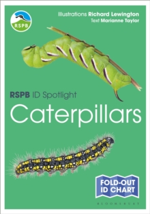 Image for RSPB ID Spotlight - Caterpillars