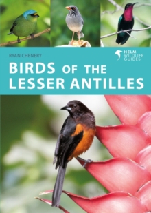 Image for Birds of the Lesser Antilles