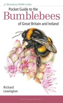 Image for Pocket guide to the bumblebees of Great Britain and Ireland