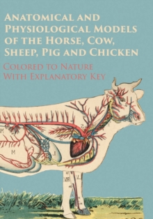 Image for Anatomical and Physiological Models of the Horse, Cow, Sheep, Pig and Chicken - Colored to Nature - With Explanatory Key