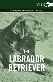 Image for Labrador Retriever - A Complete Anthology of the Dog.