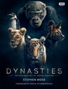 Image for Dynasty: the rise and fall of animal families