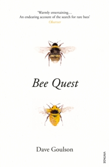 Image for Bee quest