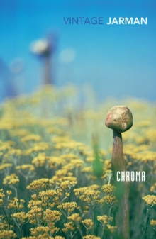Image for Chroma: a book of color, June '93