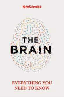 Image for The brain  : everything you need to know