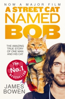 Image for A street cat named Bob
