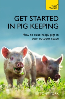 Get Started In Pig Keeping: How to raise happy pigs in your outdoor space