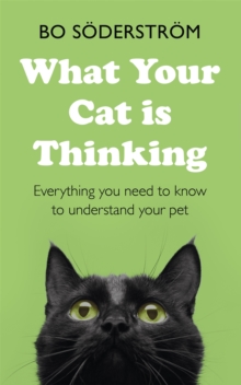 What Your Cat Is Thinking: Everything you need to know to understand your pet