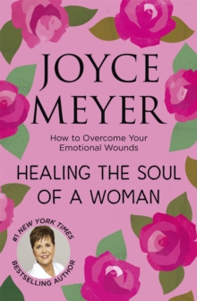 Image for Healing the Soul of a Woman