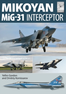Image for Flight Craft 8: Mikoyan MiG-31