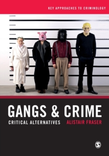 Image for Gangs & crime  : critical alternatives