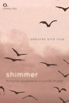 Shimmer: Flying Fox Exuberance in Worlds of Peril