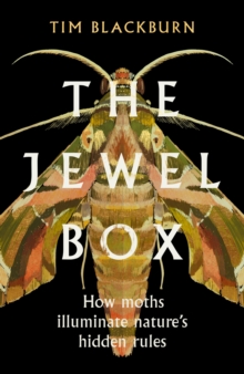 Image for The jewel box  : how moths illuminate nature's hidden rules