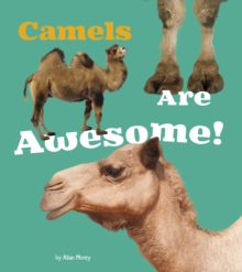 Image for Camels are awesome!