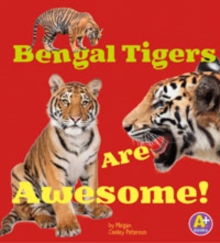 Image for Awesome Asian Animals Pack A of 6