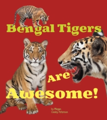 Image for Bengal Tigers Are Awesome!