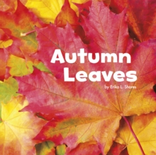 Image for Autumn leaves