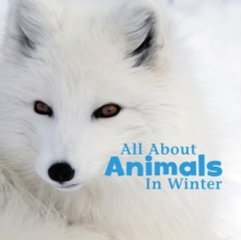 Image for All About Animals in Winter