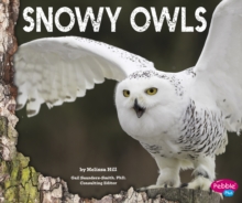 Image for Snowy owls