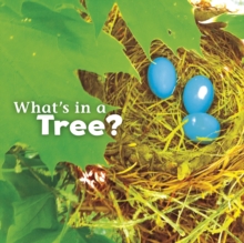 Image for What's in a tree?