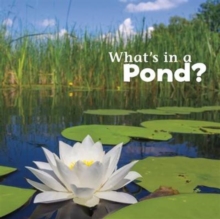 Image for What's in a pond?