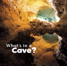 Image for What's in a cave?