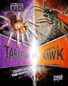 Image for Tarantula vs Tarantula Hawk
